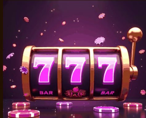 789vet